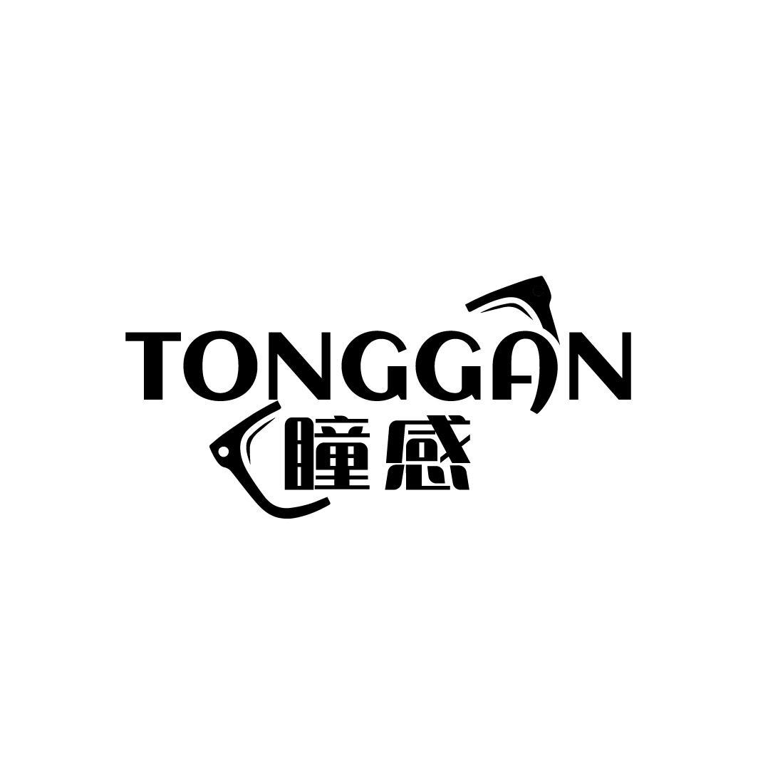 瞳感
TONGGAN