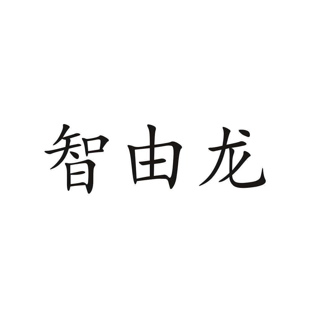 智由龙