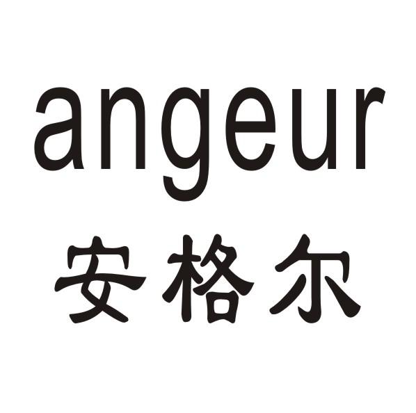 安格尔 ANGEUR