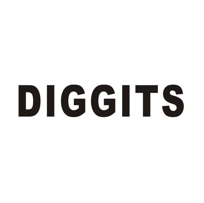 DIGGITS